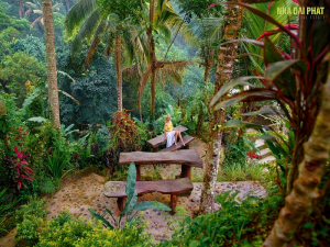 chuẩn sống wellness living