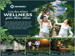xu hướng wellness