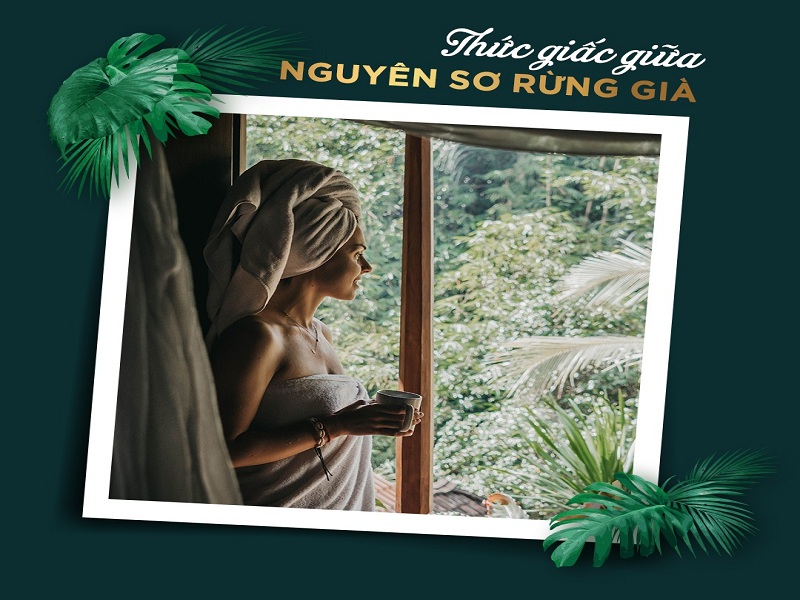 wellness - thức giấc giữa thiên nhiên