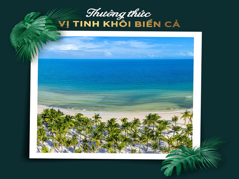 Thưởng thức vị biển tinh khôi