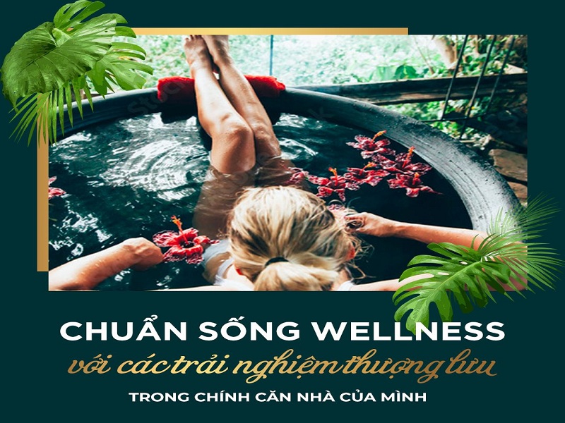 Dịch vụ chuẩn wellness