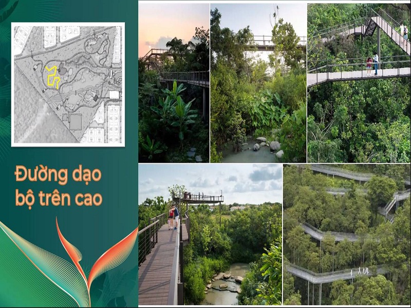 Đường dạo bộ lên cao