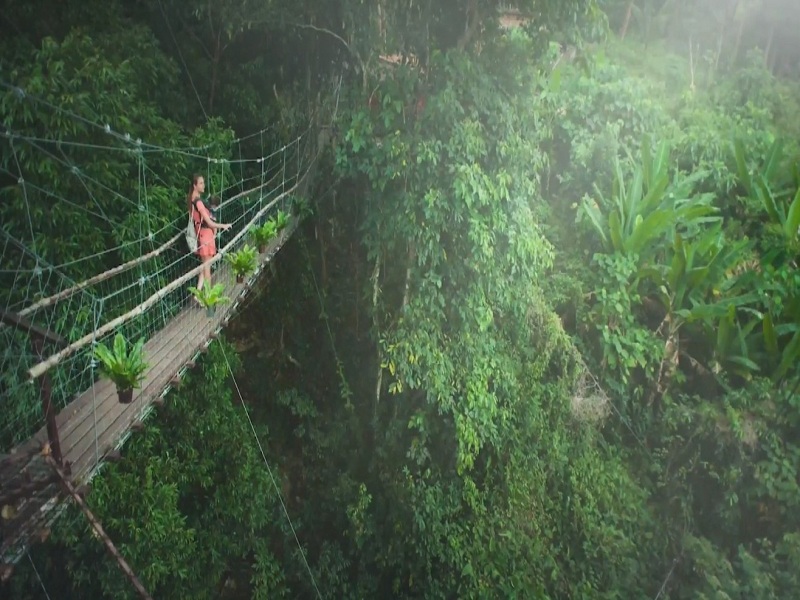 Lối dạo bộ trên cao