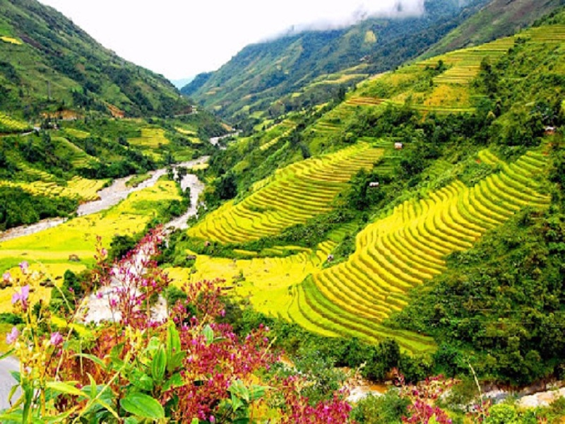Thung lũng Mường Hoa