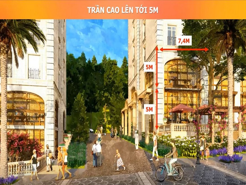 Trần cao 5m