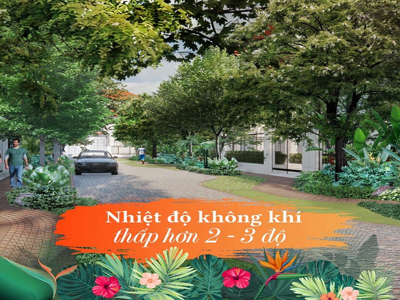 Vùng vi khí hậu trong quần thể bãi Kem