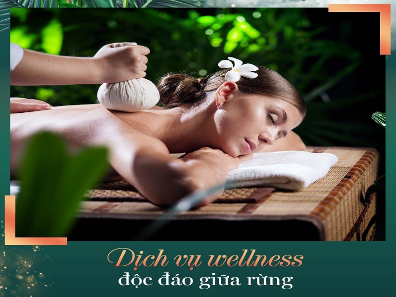 Wellness giữa rừng