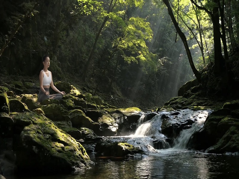 Nơi theo đuổi lối sống wellness 