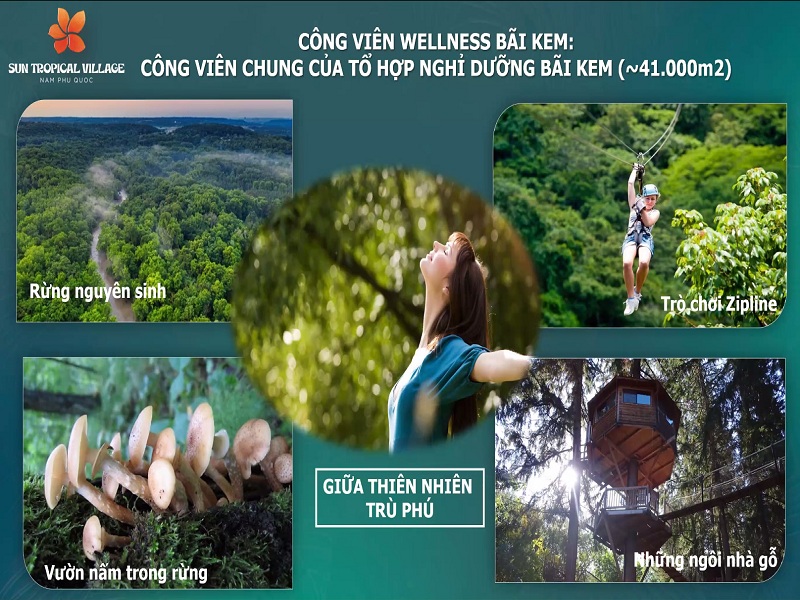 Công viên wellness bãi Kem