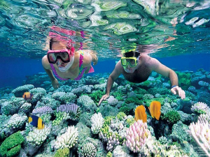 Vạn San Đảo Nha Trang