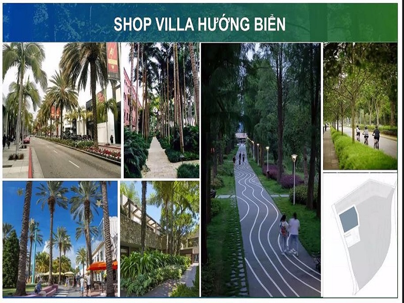 Phân khu The Avenue
