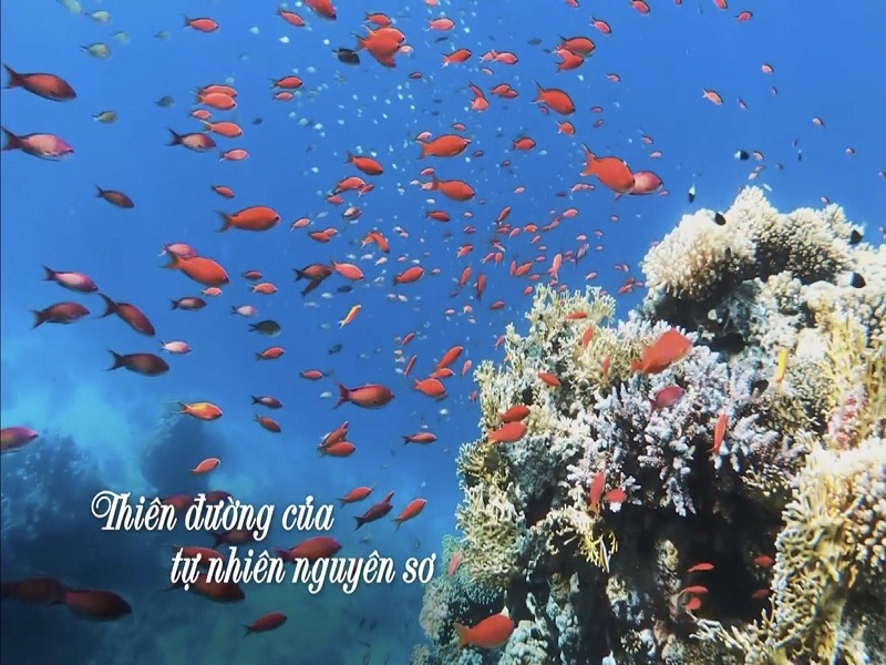 Hòn Thơm là thiên đường của nguyên sơ