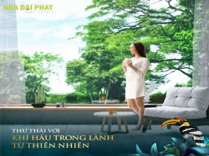 Nhà giữa thiên nhiên Phú Quốc