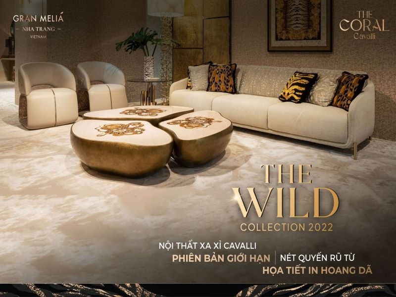 The Coral Cavalli