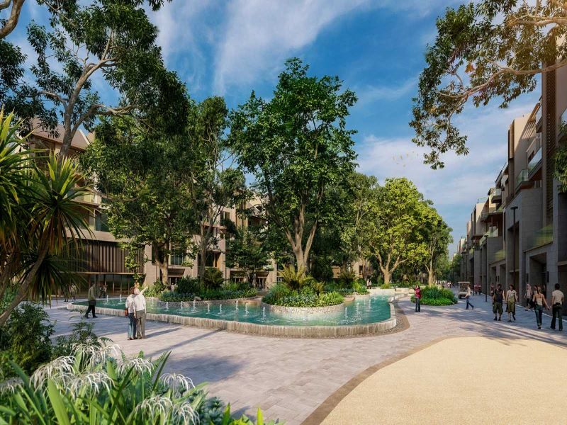 Thừa hưởng những mảng xanh quý giá